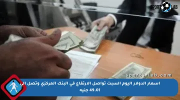 أسعار الدولار اليوم السبت تواصل الارتفاع في البنك المركزي وتصل إلى 49.01 جنيه